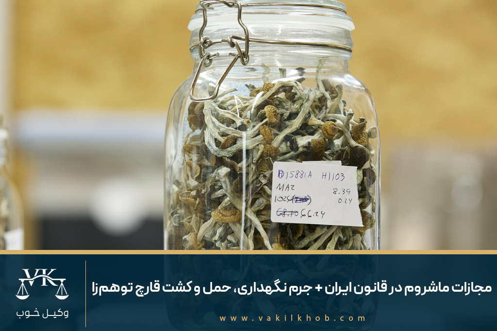 مجازات ماشروم در قانون ایران + جرم نگهداری، حمل و کشت قارچ توهم‌زا